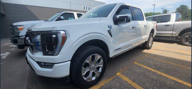 used 2023 Ford F-150 car