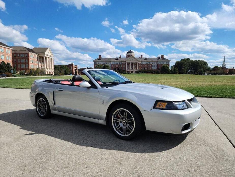 used 2003 Ford Mustang car, priced at $64,995