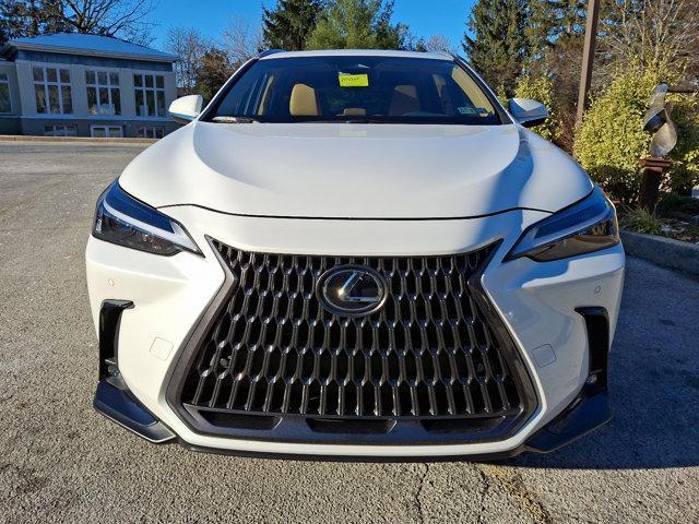 used 2024 Lexus NX 350 car, priced at $44,950