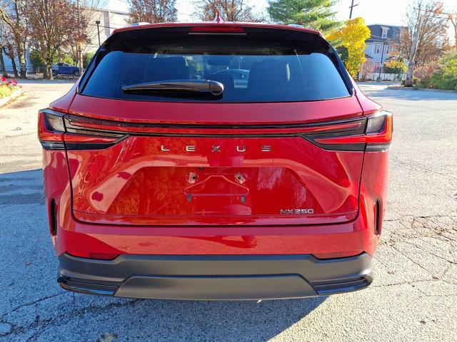 used 2024 Lexus NX 250 car, priced at $41,995