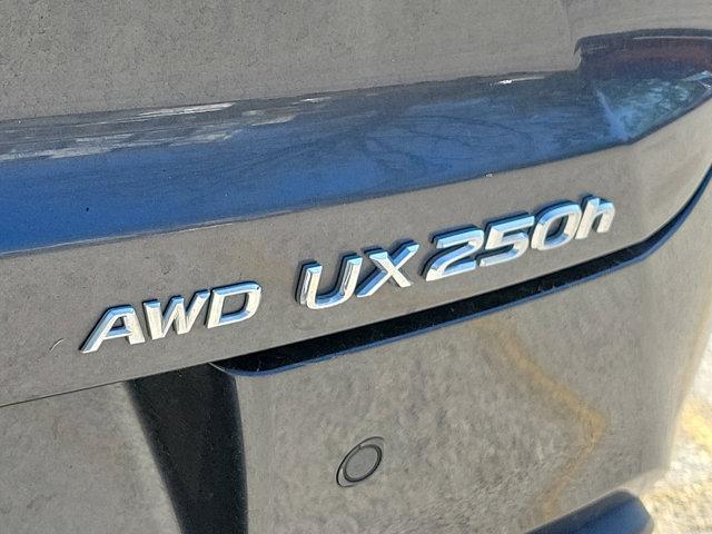 new 2024 Lexus UX 250h car, priced at $49,120