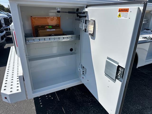 new 2025 Ford F-350 car, priced at $74,995