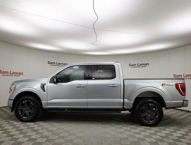 used 2023 Ford F-150 car, priced at $41,990