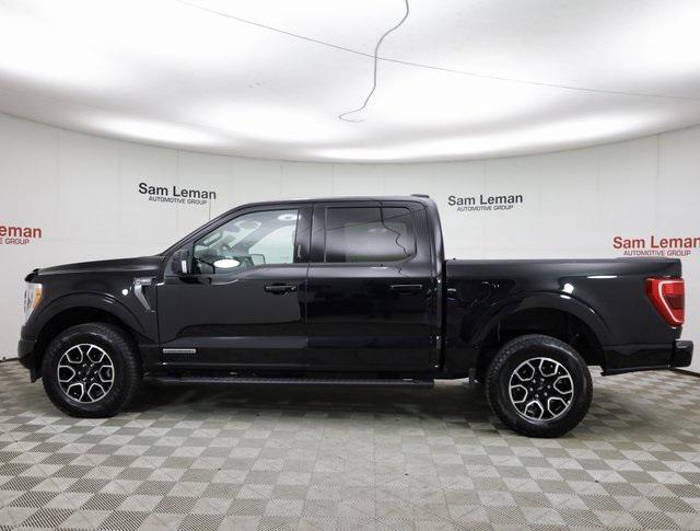 used 2023 Ford F-150 car, priced at $41,795