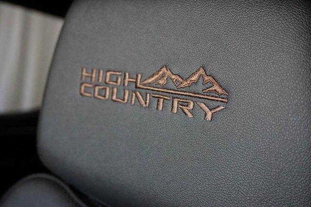 new 2025 Chevrolet Silverado 1500 car, priced at $62,110