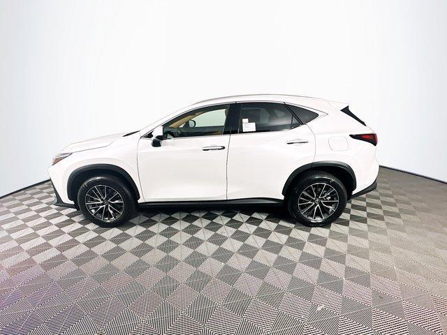 new 2025 Lexus NX 350 car