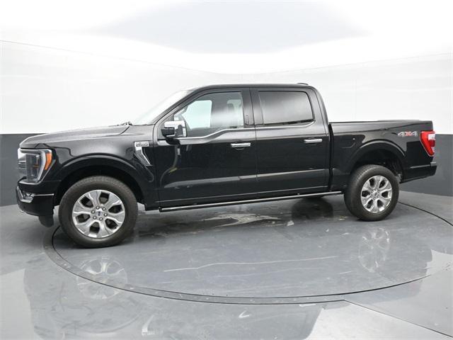 used 2023 Ford F-150 car, priced at $52,888