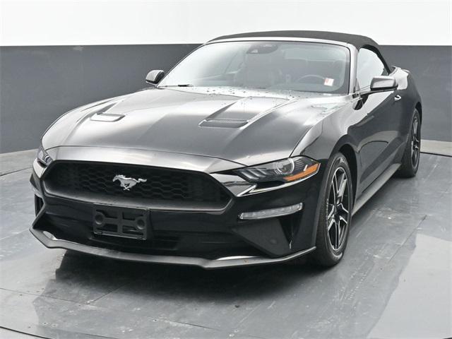 used 2023 Ford Mustang car, priced at $25,000