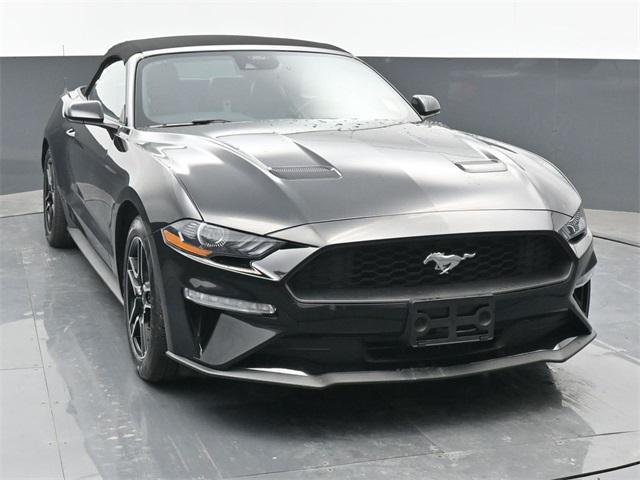 used 2023 Ford Mustang car, priced at $25,000