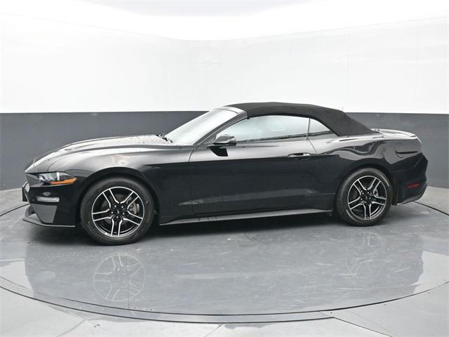 used 2023 Ford Mustang car, priced at $25,000