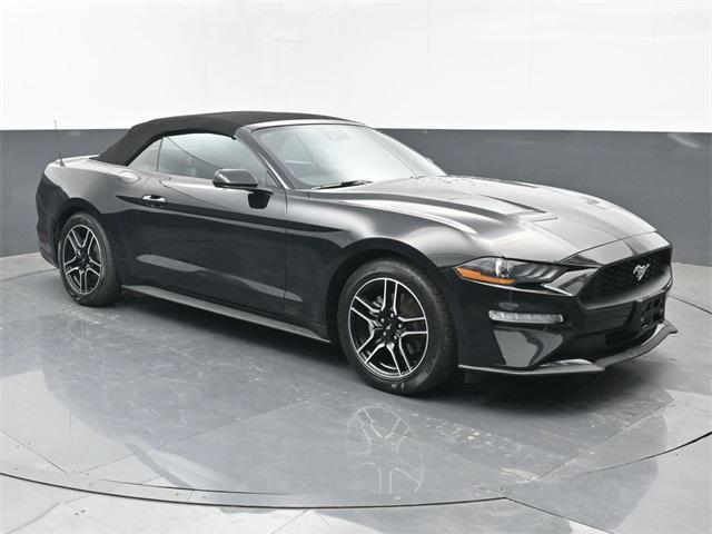 used 2023 Ford Mustang car, priced at $25,000