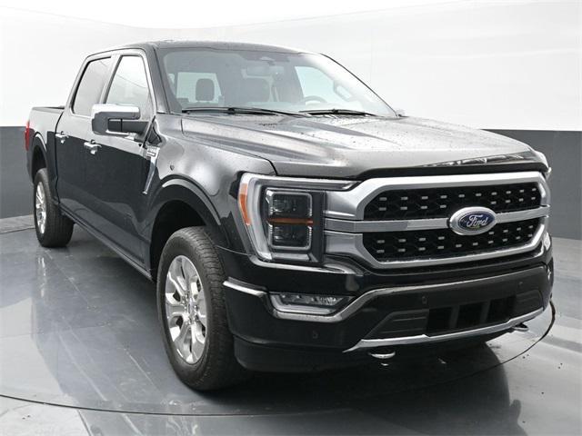 used 2023 Ford F-150 car, priced at $49,888