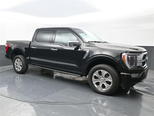 used 2023 Ford F-150 car, priced at $49,888