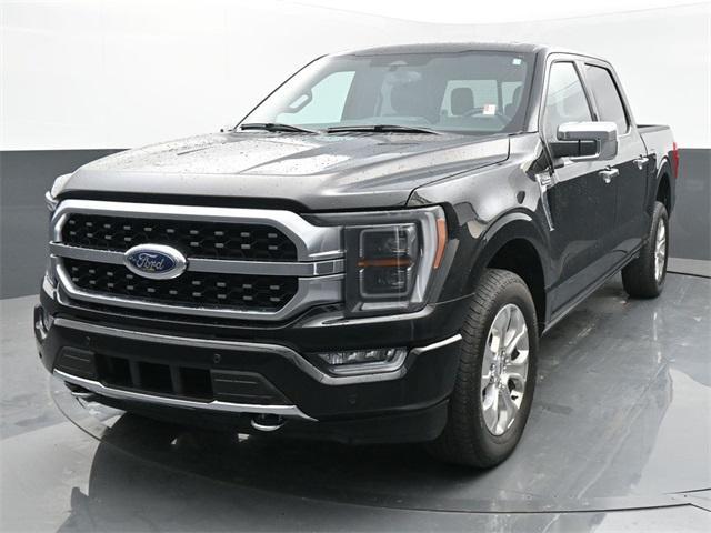 used 2023 Ford F-150 car