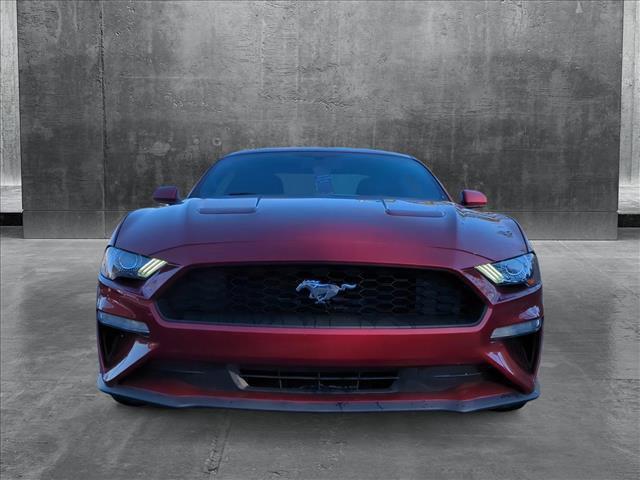 used 2019 Ford Mustang car, priced at $24,264