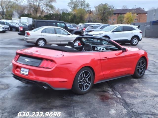 used 2019 Ford Mustang car, priced at $24,998