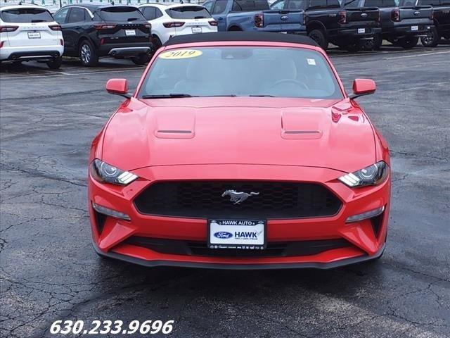 used 2019 Ford Mustang car, priced at $24,998