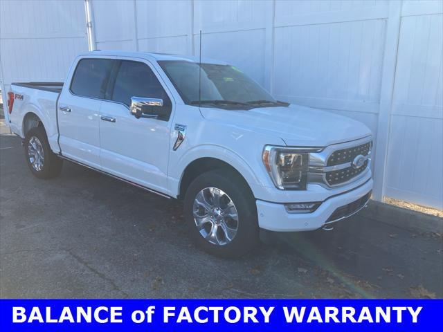 used 2023 Ford F-150 car, priced at $56,000