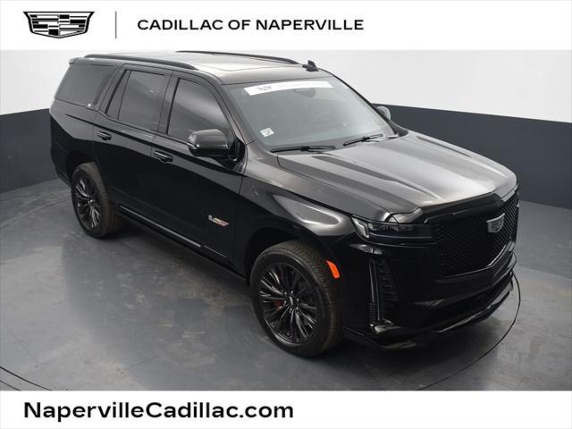 used 2024 Cadillac Escalade car