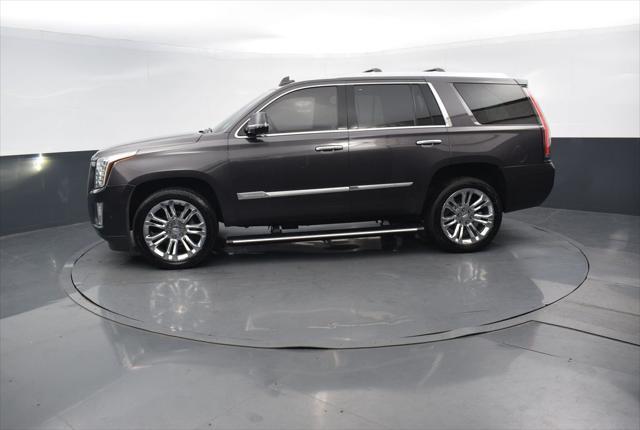 used 2017 Cadillac Escalade car