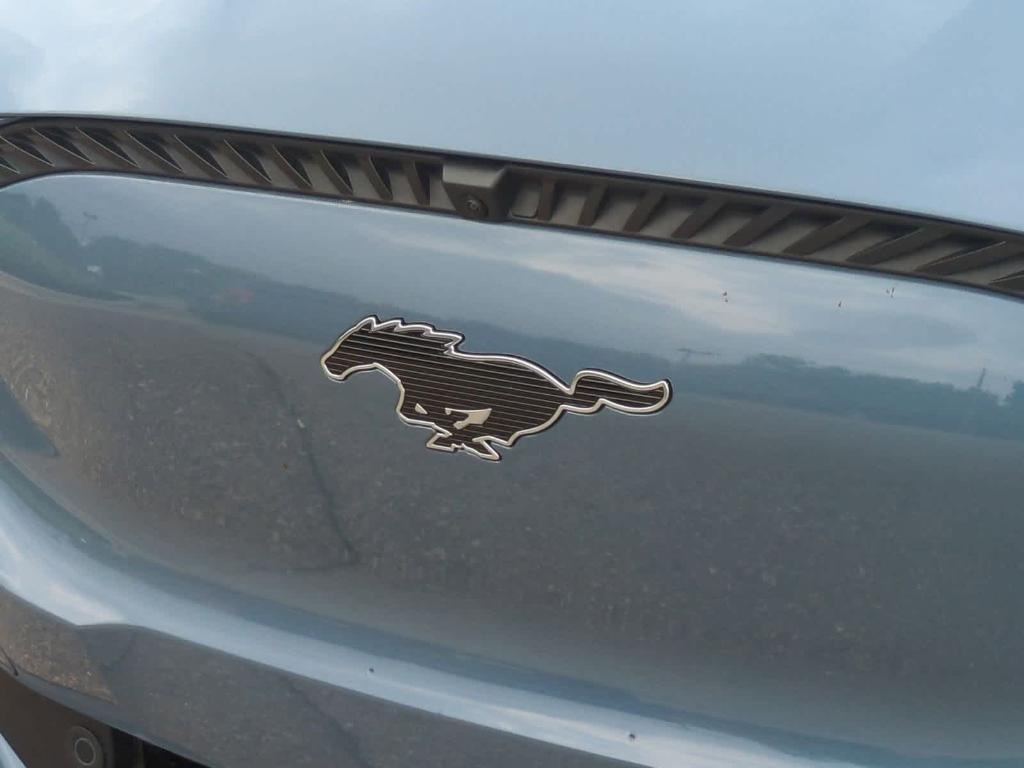 used 2024 Ford Mustang Mach-E car, priced at $39,999