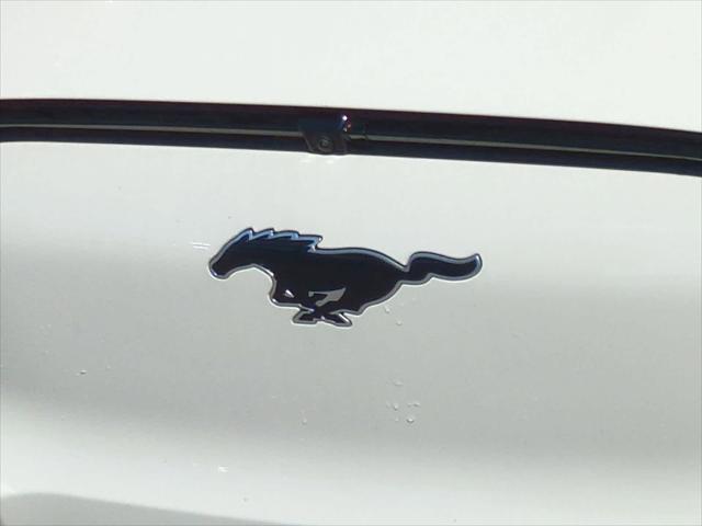 new 2025 Ford Mustang Mach-E car, priced at $47,000