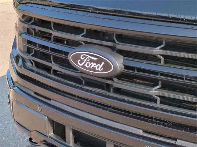 new 2024 Ford F-150 car