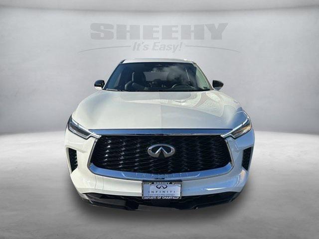 used 2024 INFINITI QX60 car, priced at $39,995