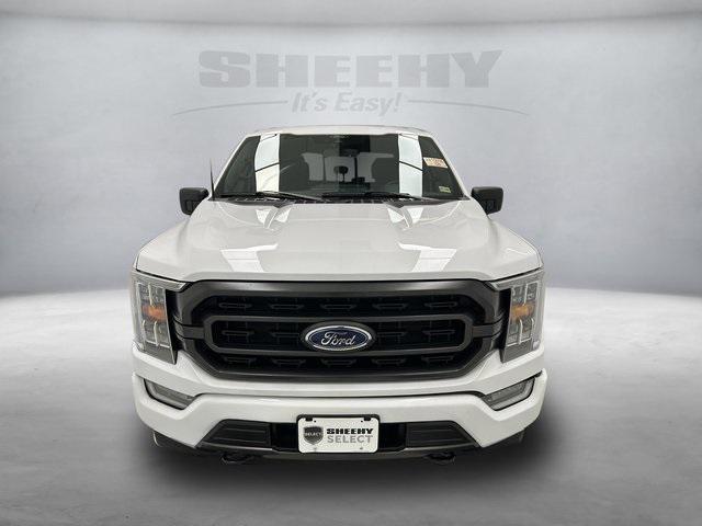 used 2021 Ford F-150 car, priced at $34,000