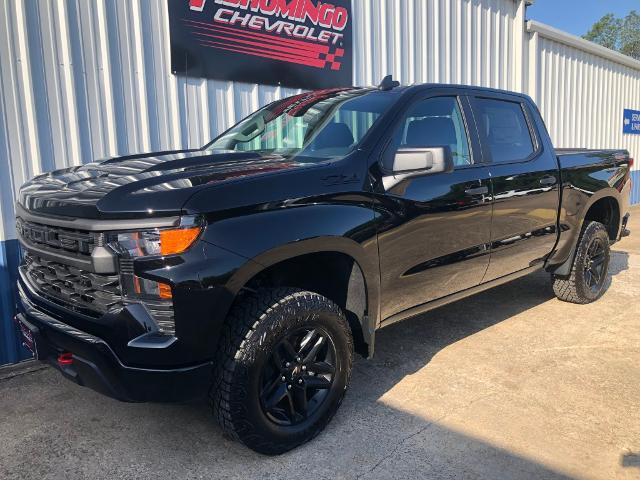 new 2024 Chevrolet Silverado 1500 car, priced at $52,795