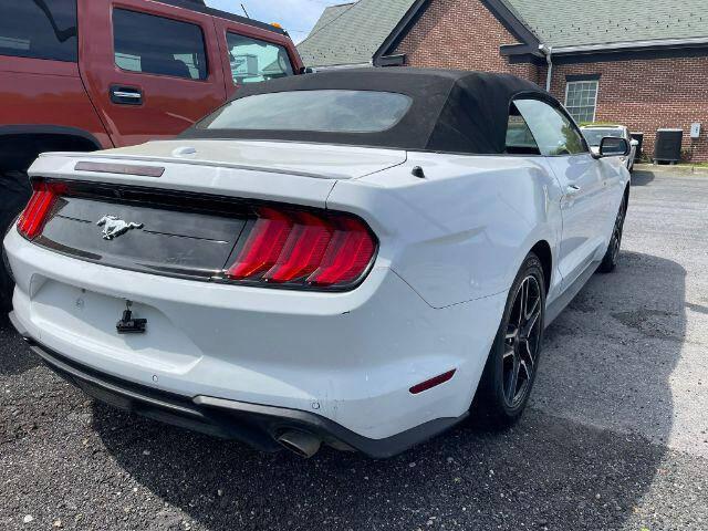 used 2021 Ford Mustang car, priced at $22,988