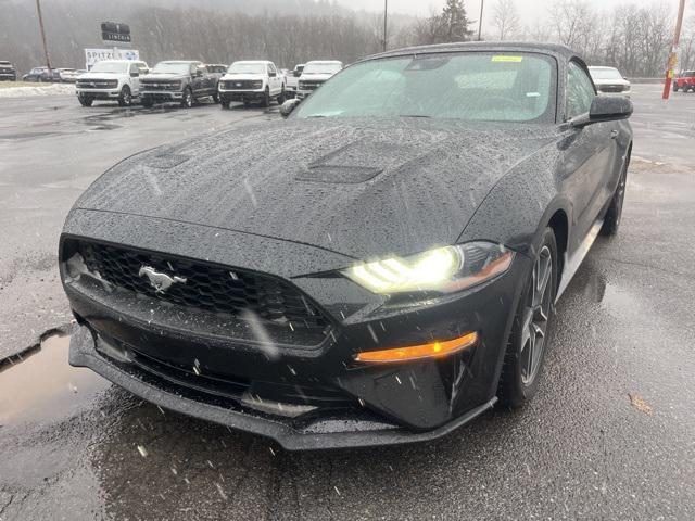 used 2022 Ford Mustang car, priced at $22,995