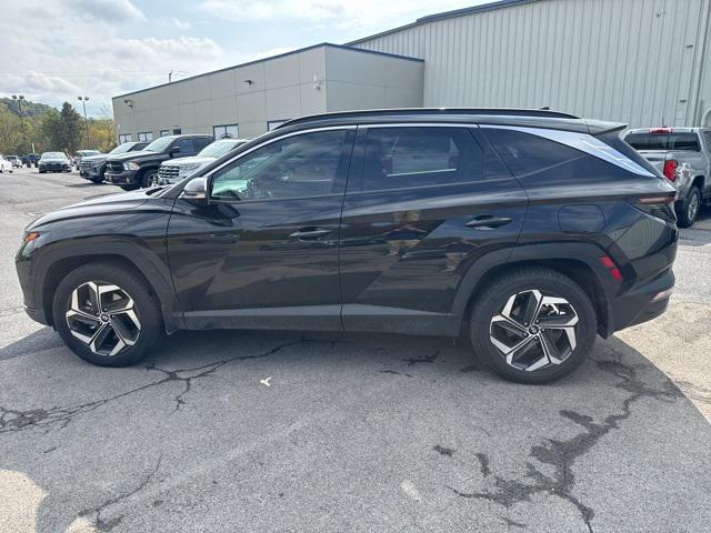 used 2023 Hyundai Tucson car, priced at $24,019