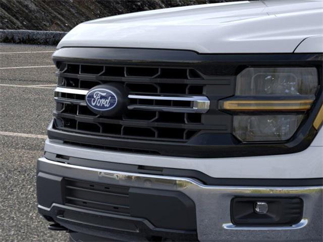 new 2024 Ford F-150 car