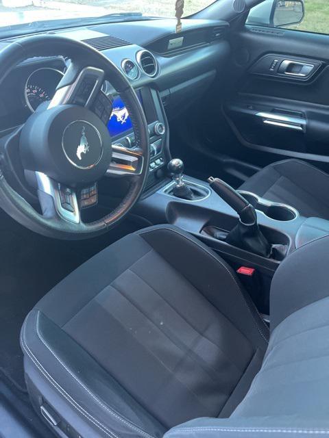 used 2019 Ford Mustang car