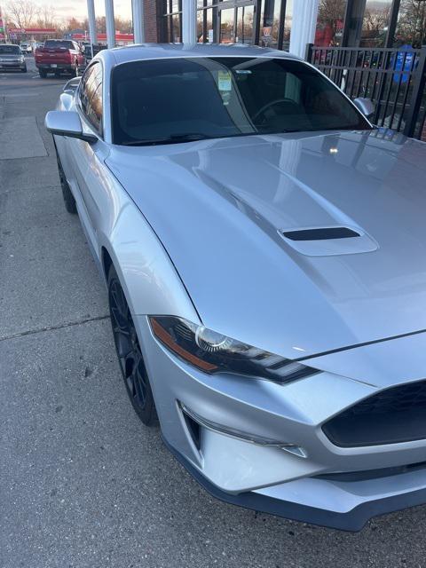 used 2019 Ford Mustang car