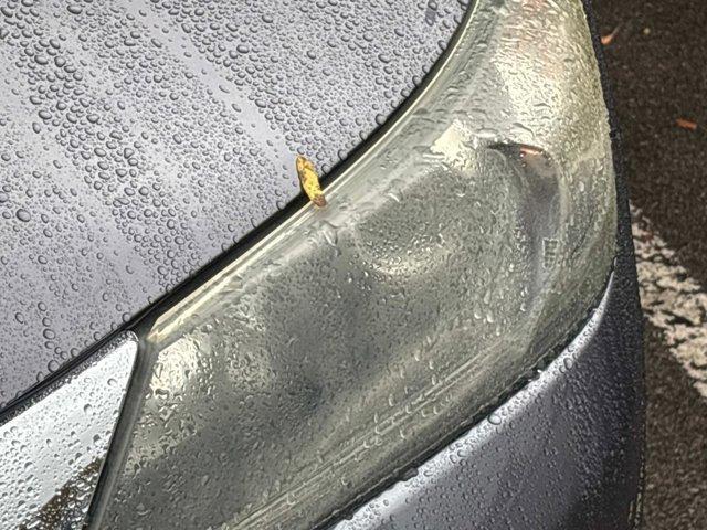 used 2015 Honda Accord car, priced at $15,763