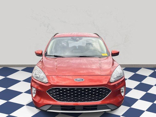 used 2020 Ford Escape car, priced at $15,770