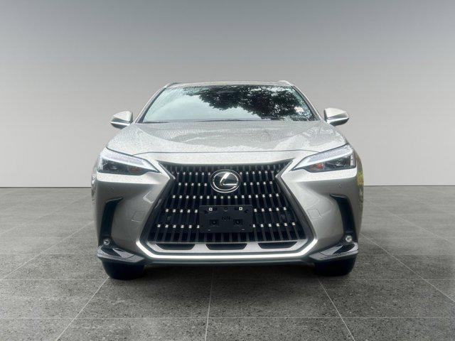 used 2024 Lexus NX 350 car, priced at $45,999