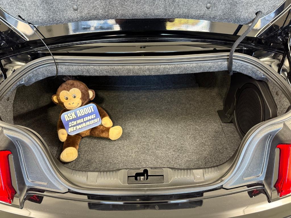 used 2019 Ford Mustang car, priced at $39,880