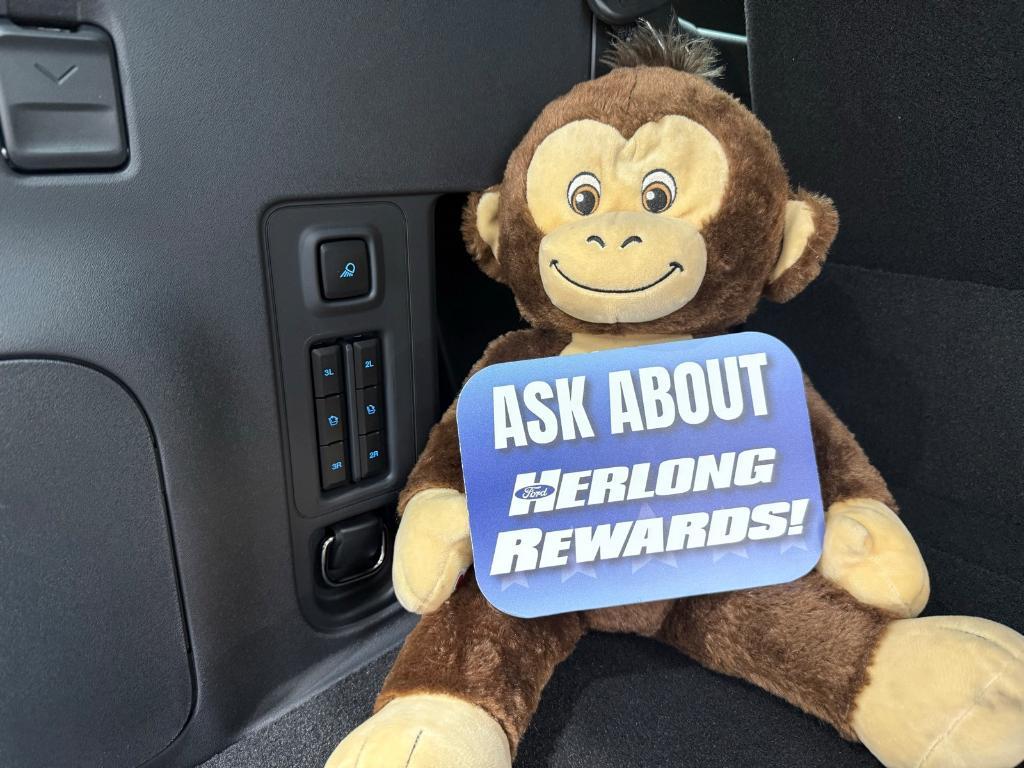 new 2025 Ford Expedition car, priced at $80,455