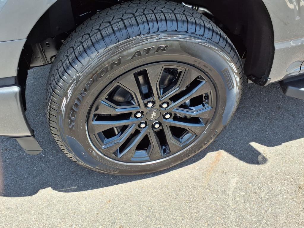 new 2025 Ford F-150 car, priced at $59,100