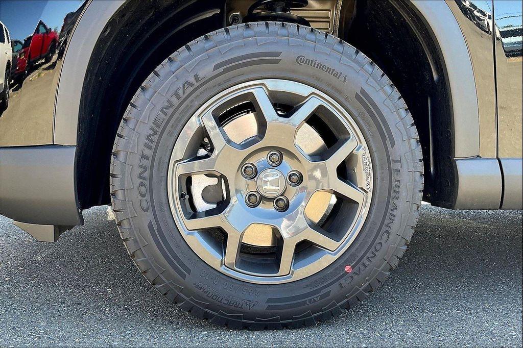 new 2025 Honda Pilot car, priced at $50,795