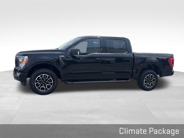 used 2023 Ford F-150 car, priced at $42,000