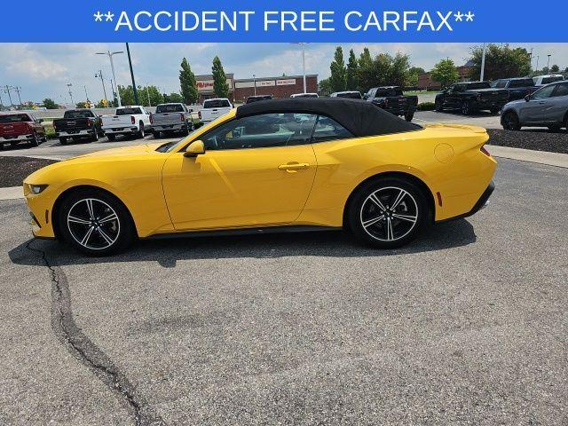 used 2024 Ford Mustang car, priced at $33,600