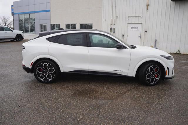 new 2024 Ford Mustang Mach-E car, priced at $47,852