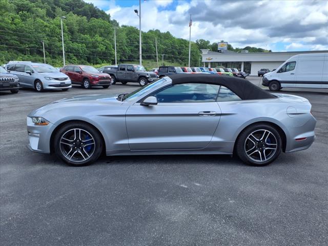 used 2022 Ford Mustang car, priced at $25,880