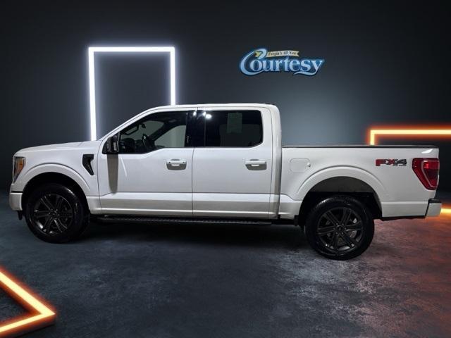 used 2023 Ford F-150 car