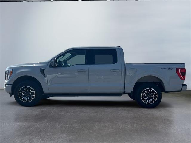 used 2023 Ford F-150 car, priced at $47,500