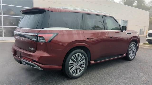 new 2025 INFINITI QX80 car, priced at $102,640